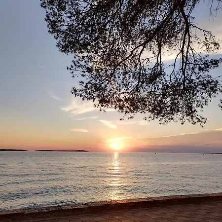 App Maria * Pula
